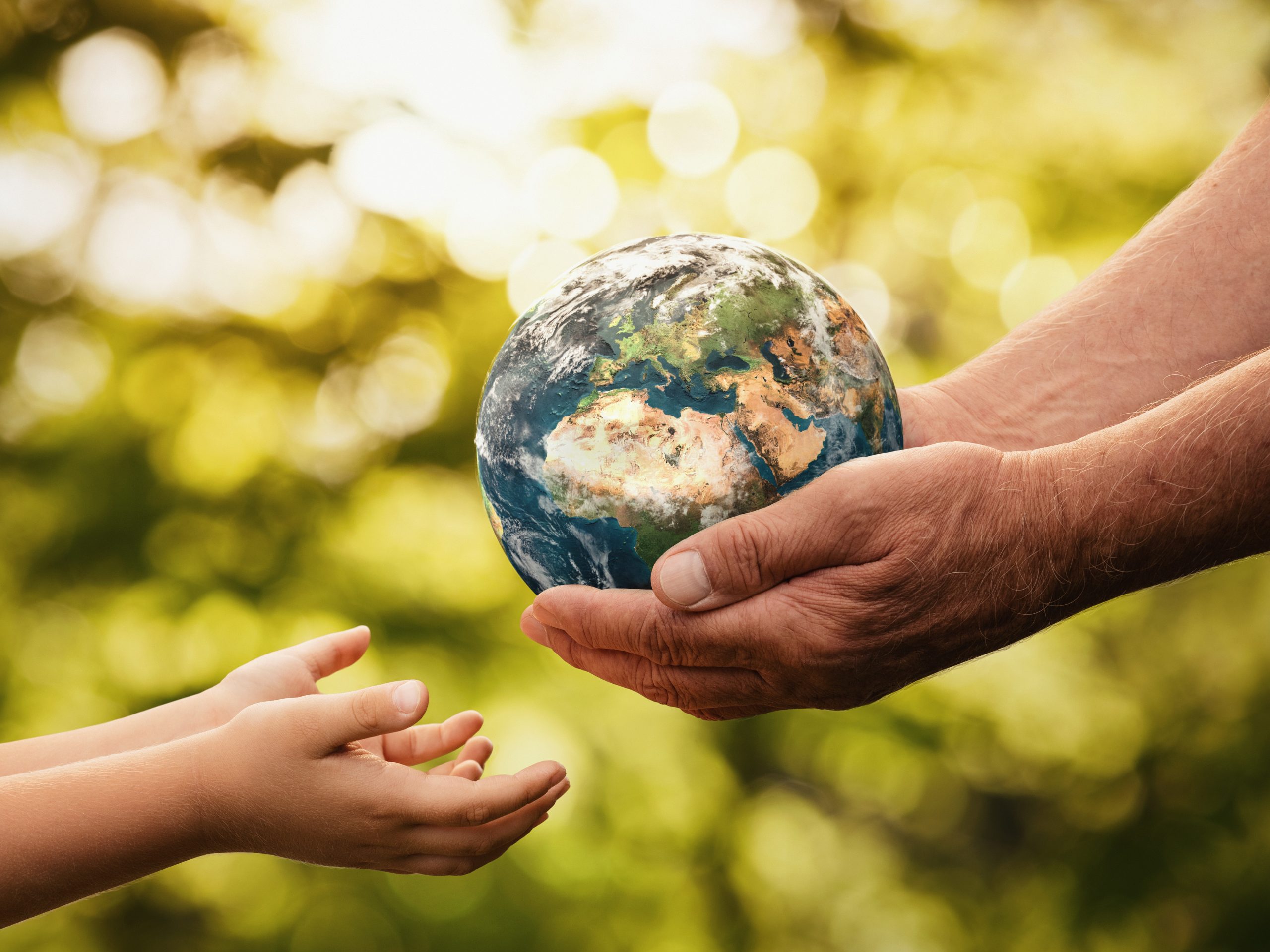 Día Mundial de la Madre Tierra 2026 01