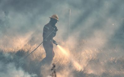 Los incendios forestales también afectan al agua